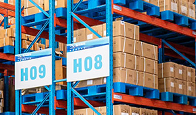 The Modes and Advantages of Qatar Door-to-Door Cargo