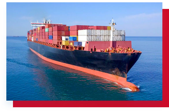 Differences between LCL and FCL Sea Freight